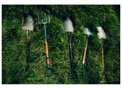 plant a tree, Arbor Day