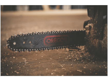 tree crown, tree removal, tree crown restoration