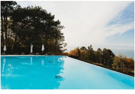 poolside tree, tree maintenance