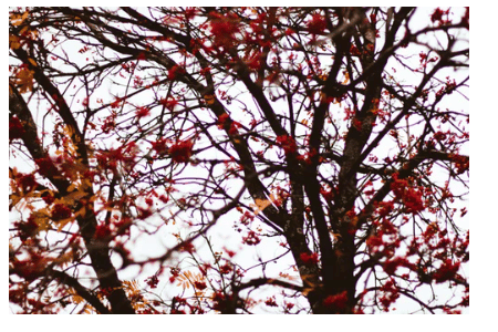 prevent soil erosion, soil erosion