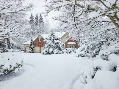 winter tree care mukilteo